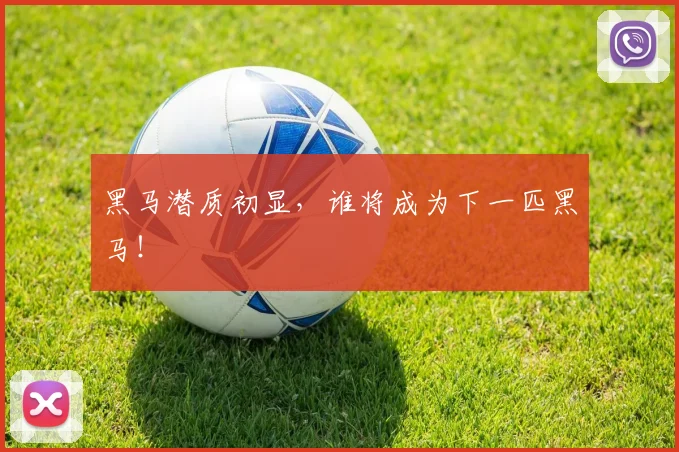 黑马潜质初显，谁将成为下一匹黑马！
