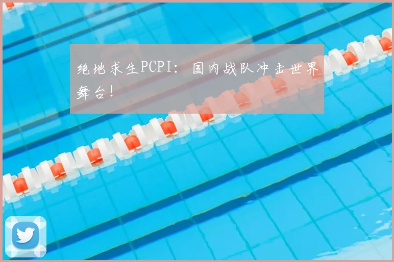绝地求生PCPI：国内战队冲击世界舞台！