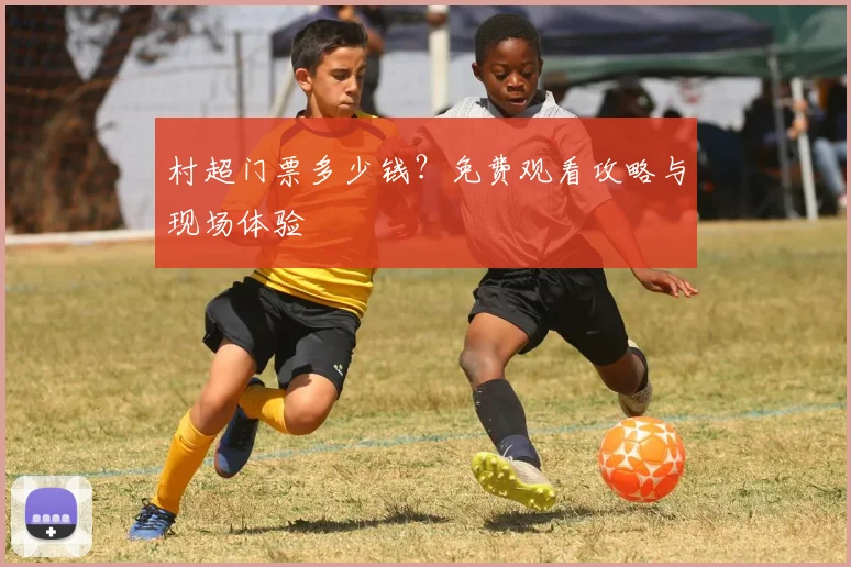 村超门票多少钱？免费观看攻略与现场体验